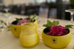 Terrasse_5